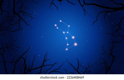 Vektorgrafik der Sternbilderung Lupus auf dem Hintergrund eines Sternenhimmels und Baumzweige. Kollektion von Sternbildern