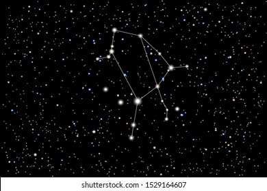 Vector illustration of the constellation Ophiuchus (serpent-bearer) on a starry black sky background. The astronomical cluster of stars in the constellation straddling the celestial equator. 13th sign