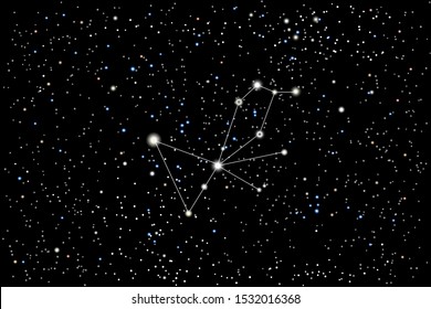 Vector illustration of the constellation Pavo (Peacock) on a starry black sky background. The astronomical cluster of stars in the Southern Celestial Hemisphere 