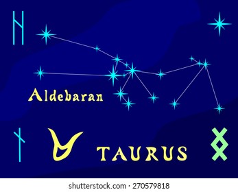 Vector illustration of constellation Taurus