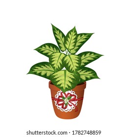 Vector illustration of a container with a green house plant