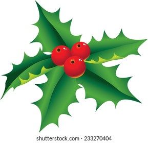 The vector illustration contains the image of christmas holly