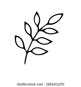 Vector illustration. Contour of cute twig with leaves isolated on white.  Single floral element. Hand drawn simple doodle clipart for wedding design, logo and greeting card. 