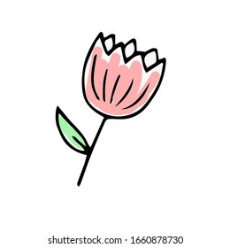  Ilustración vectorial. Contorsión de tulipán de color mono con hoja aislada en blanco. Elementos florales de primavera o verano. Pieza de doodle dibujada a mano para diseño de bodas, logotipo y tarjeta de felicitación. 