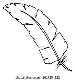 Ilustración vectorial. Contorno de plumas sin peso aisladas en blanco. Clásico de doodle dibujado a mano en un estilo minimalista moderno. Perfecto para afiches, pancartas, patrones.
