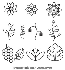Vector illustration of the contours of flowers and plants