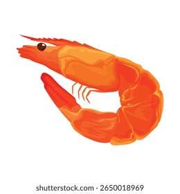 Ilustração vetorial de camarão cozido. Design de frutos do mar frescos para restaurante, menu, adesivo, embalagem e decoração de alimentos. Isolado no fundo branco.