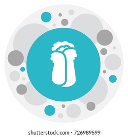 Vector Illustration Of Cooking Symbol On Chinese Cabbage Icon. Premium Quality Isolated Cauliflower Element In Trendy Flat Style.