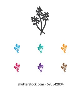 Vector Illustration Of Cookware Symbol On Dill Icon. Premium Quality Isolated Parsley Element In Trendy Flat Style.