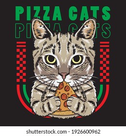 vector illustration cool cat holding pizza flat cartoon style