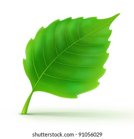 Vector illustration of cool green detailed leaf
