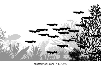Vector illustration of coral and fish silhouettes