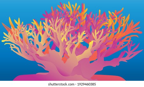 Vector illustration of a coral reef scene with blue, aqua marine background and pink, orange and purple corals growing. 