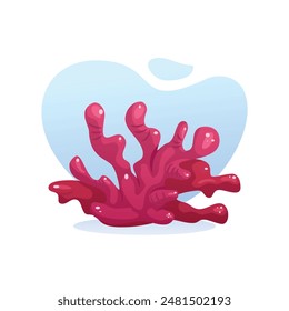 Vector illustration of corals on a white background.