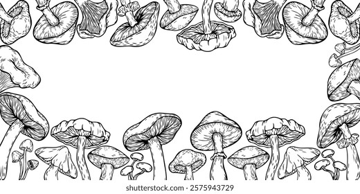 Vector illustration, cordon with mushrooms. Mushrooms painted in vintage style. Doodle style.