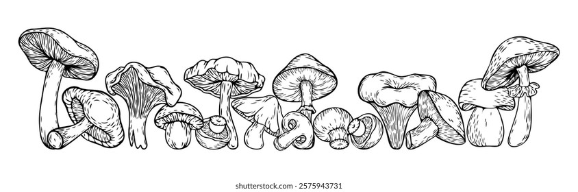 Vector illustration, cordon with mushrooms. Mushrooms painted in vintage style. Doodle style.