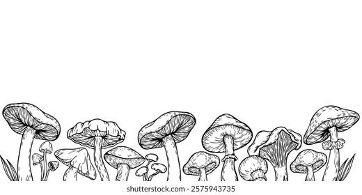 Vector illustration, cordon with mushrooms. Mushrooms painted in vintage style. Doodle style.