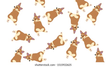 Vector illustration of corgi dog.
