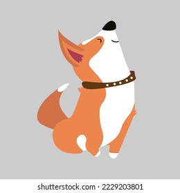 Vector illustration of Corgi dog breed. Cute dog icon in flat style. Domestic dog. Poster, card, banner for pet store, veterinary clinic. Stylish illustration with Royal Corgi.