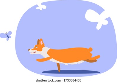 vector illustration with corgi dog and butterfly