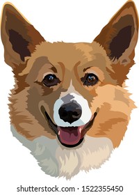 vector illustration of a Corgi dog face