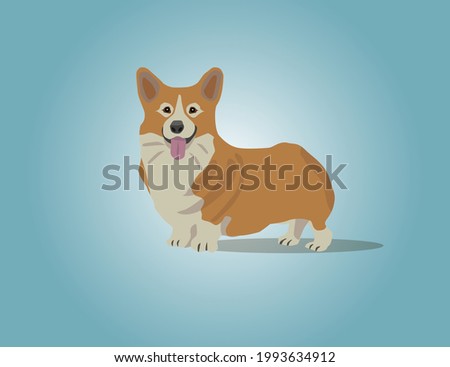 Vector illustration of corgi, dog, freind, isolated character, smile