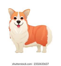Vector illustration of Corgi. Vector illustration isolated on white.