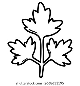 Ilustración vectorial de la hoja de cilantro