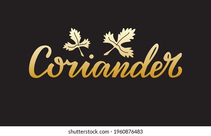 Vector Illustration Of Coriander Lettering For Packages, Product Design, Banners, Stickers, Spice Shop Price List And  Decoration. Handwritten Isolated Word With A Drawn Leaf For Web Or Print
