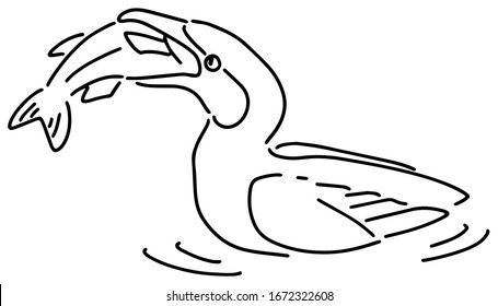 Vector illustration of a cormorant eating fish 