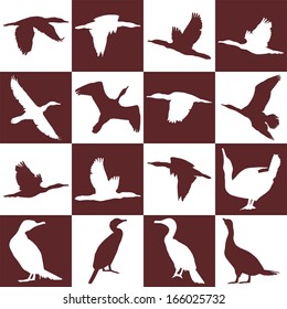 vector illustration of cormorants on a background of brown and white squares