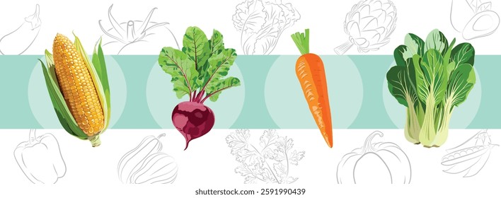 Vector illustration of corn, beet, carrot, and bok choy with outlined veggies in background.