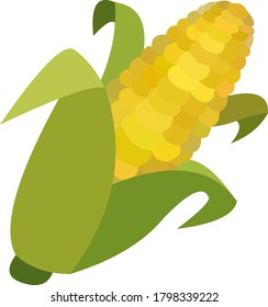 Vector illustration of a corn cob