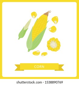 Vector illustration of Corn, Corn cob, grains, vector elements. Package design, Isolated on white background.