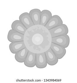 Vector illustration of corn and cob symbol. Set of corn and hot vector icon for stock.