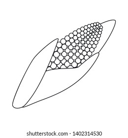 Vector illustration of corn and gmo logo. Collection of corn and seed stock symbol for web.