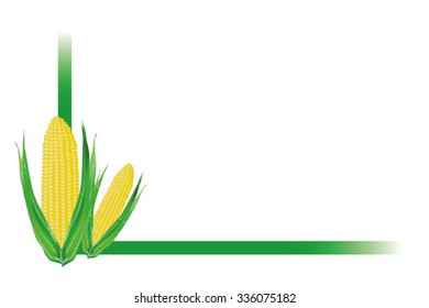Vector illustration of corn with a green frame.
