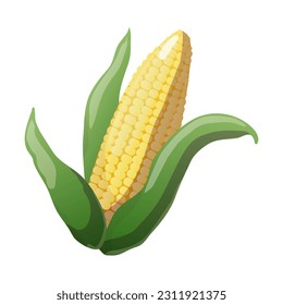 Vector illustration with corn. Healthy food. Cartoon