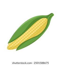 Vector illustration with corn. Image of a multi colored ear of corn isolated on a white background. Colored logo. Square illustration with vegetables.