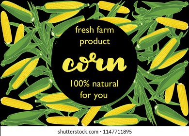 vector illustration of corn and leaf design with lettering corn background black and vegetable and text fresh farm product 100% natural for you EPS10
