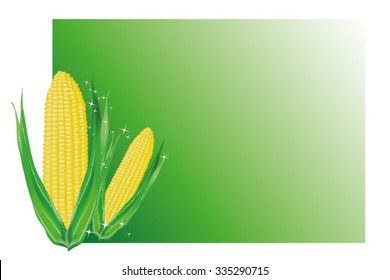 Vector illustration of corn on a green background.