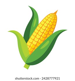 Vector of illustration corn on white