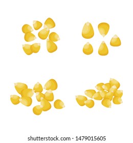 Vector illustration of Corn. Corn seeds. Isolated on white background. Summer farm design elements.