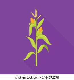 Vector illustration of corn and stalk sign. Set of corn and field stock symbol for web.