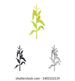 Vector illustration of corn and stalk symbol. Collection of corn and field stock symbol for web.