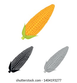 Vector illustration of corn and sweetcorn icon. Set of corn and ripe stock symbol for web.