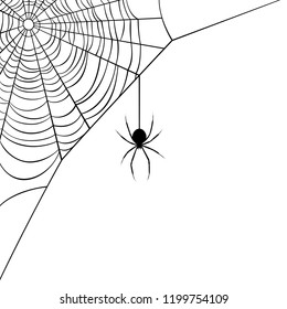 Vector illustration of a corner web/spider design.