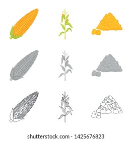 Vector illustration of cornfield and vegetable icon. Set of cornfield and vegetarian stock symbol for web.