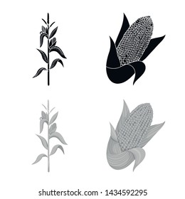 Vector illustration of cornfield and vegetable icon. Collection of cornfield and vegetarian stock vector illustration.