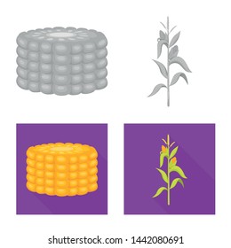 Vector illustration of cornfield and vegetable icon. Set of cornfield and vegetarian stock symbol for web.